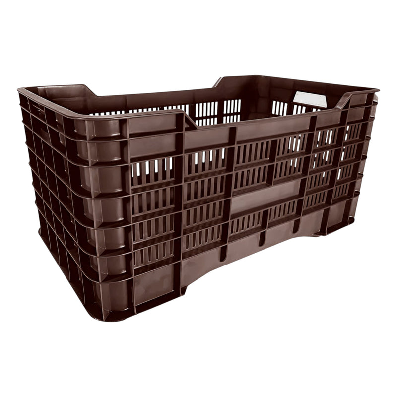 CAJA GIGANTE CALADA REPRO 70 KG