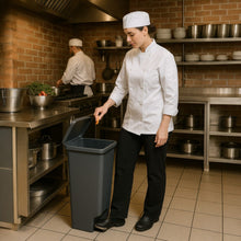 Cargar imagen en el visor de la galería, PAPELERA PEDAL 42 LT GRIS