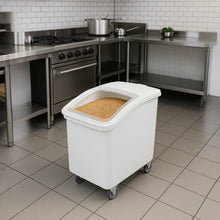 Cargar imagen en el visor de la galería, CARRO ALMACENADOR GRANOS 120 LT