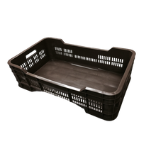 Cargar imagen en el visor de la galería, CAJA GIGANTE MED CALADA REPRO 25 KG