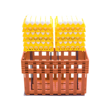 Cargar imagen en el visor de la galería, CAJA TEHUACAN NARANJA PARA HUEVO