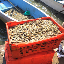 Cargar imagen en el visor de la galería, CAJA FRUTERA NARANJA C/ASA