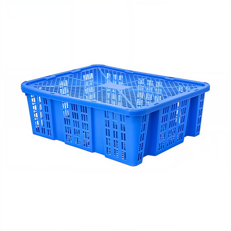 CAJA BAMBA "O" C/TAPA AZUL