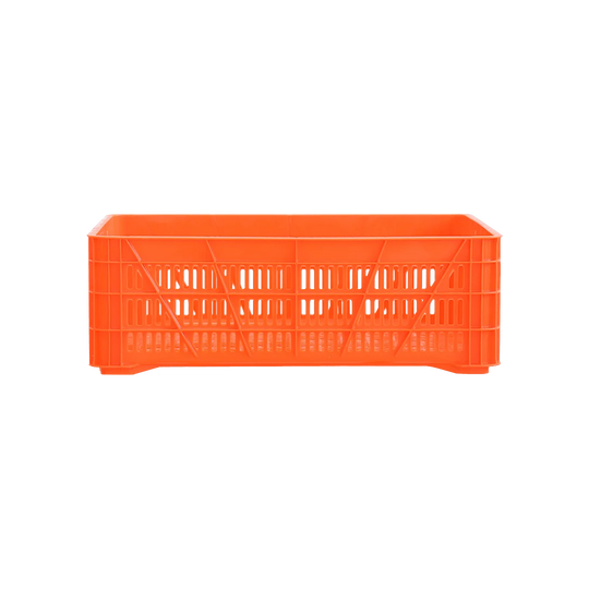 CAJA CALIFORNIA 20 NARANJA