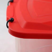 Cargar imagen en el visor de la galería, ORGANIZADOR CLIP 10 LT C/TAPA
