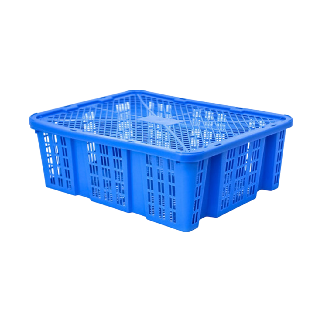 CAJA BAMBA 