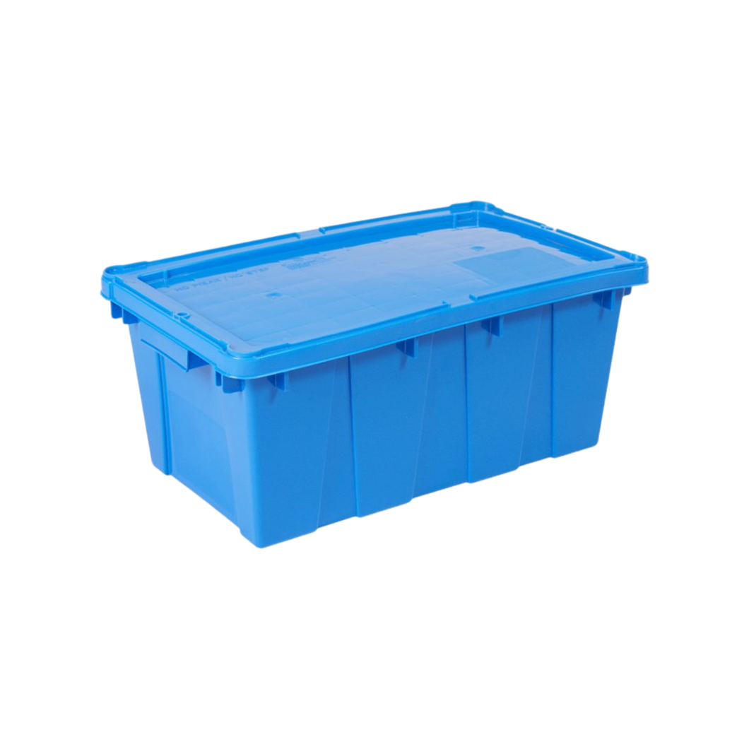 CAJA CANADA AZUL C/TAPA