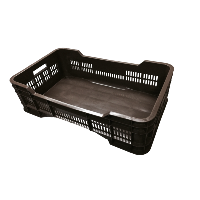 CAJA GIGANTE MED CALADA REPRO 25 KG