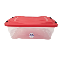Cargar imagen en el visor de la galería, ORGANIZADOR CLIP 10 LT C/TAPA
