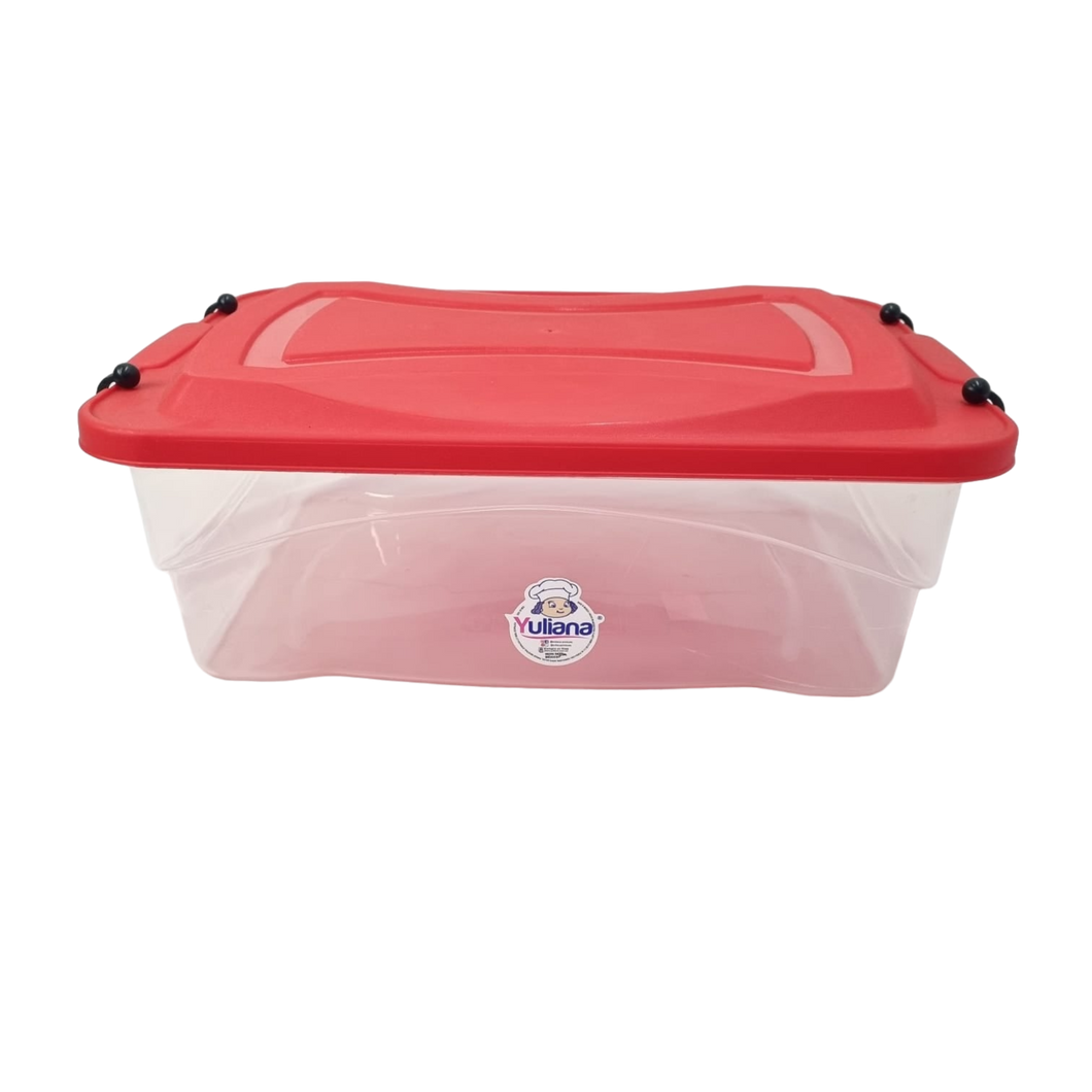 ORGANIZADOR CLIP 10 LT C/TAPA
