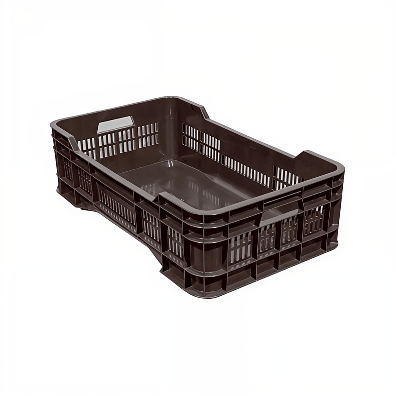 CAJA GIGANTE MED CALADA REPRO 25 KG